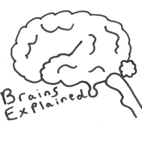 Brains Explained