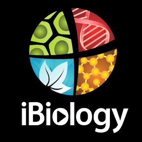 iBiology