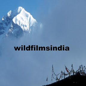 WildFilmsIndia