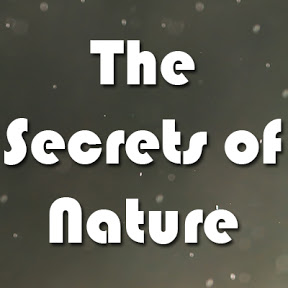 The Secrets of Nature