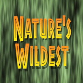 Nature's Wildest